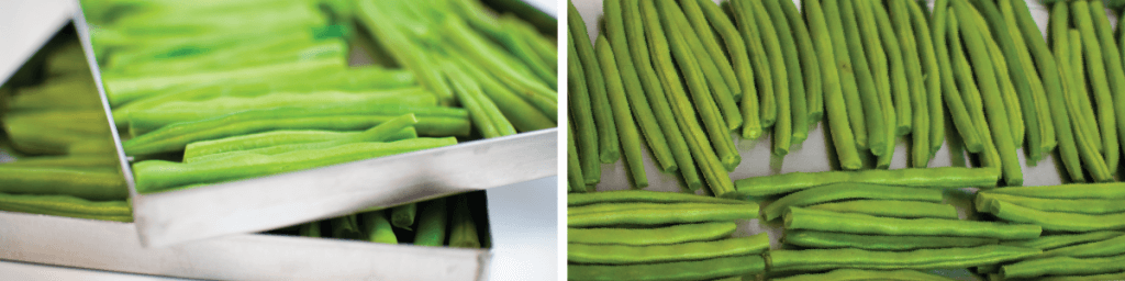 green beans in freeze dryer trays