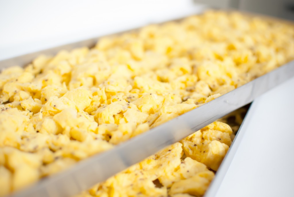 freeze dried scrambled eggs on freeze dryer trays