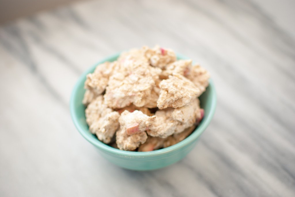 freeze dried oatmeal with apples