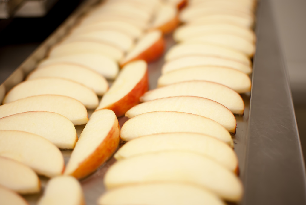 apple slices on a freeze dryer tray