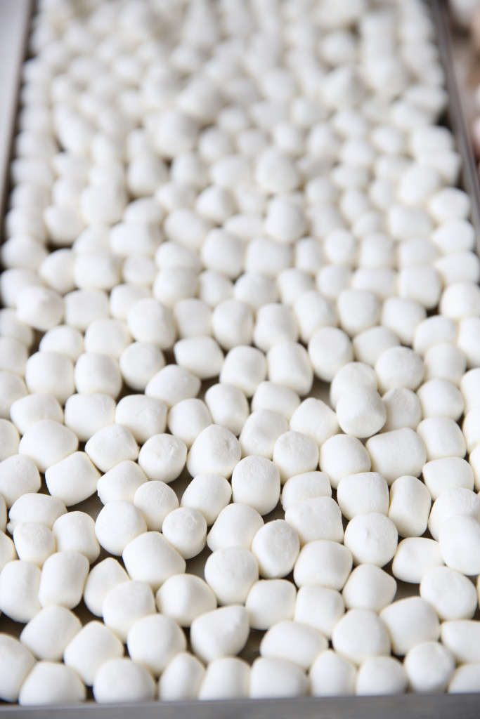 freeze dried marshmallows on a freeze dryer tray