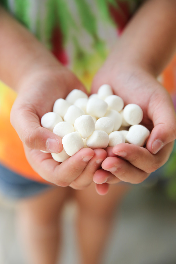 hands holding freeze dried marshmallows