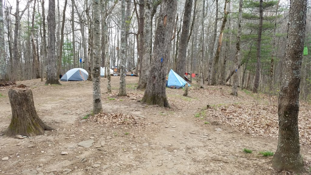 tents in a forest
