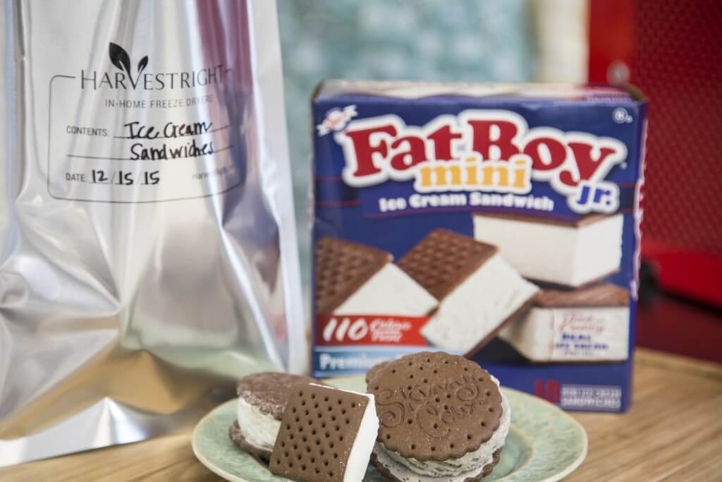 freeze dried ice cream sandwiches