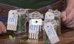 video thumbnail of labels jars of freeze dried herbs