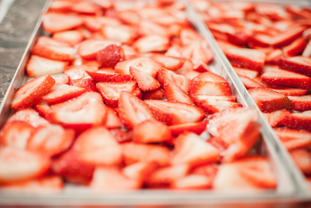 sliced strawberries on freeze dryer trays