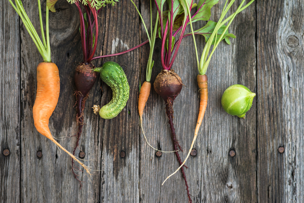 vegetables on a wood table