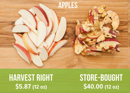 Harvest Right freeze dried apples (left) compared to store-bought freeze dried apples (right).