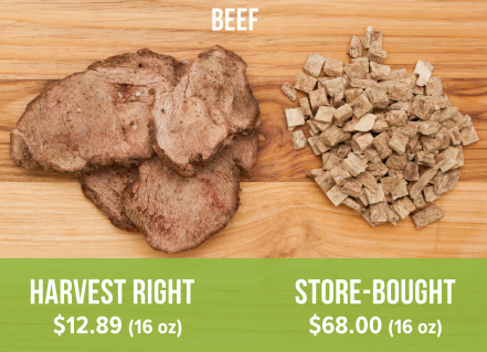 Harvest Right freeze dried beef (left) compared to store-bought freeze dried beef (right).