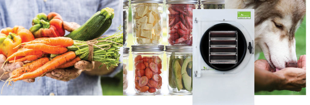 fresh picked food, freeze dried food in jars, a white freeze dryer, a dog eating out of a person's hands