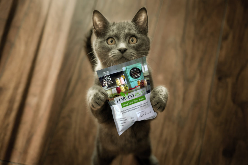 a cat holding a mylar bad of freeze dried food