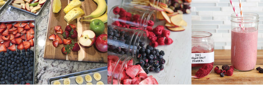 Freeze dried fruit and smoothie