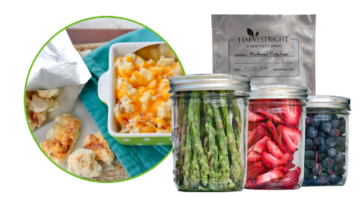 Various types of freeze dried food