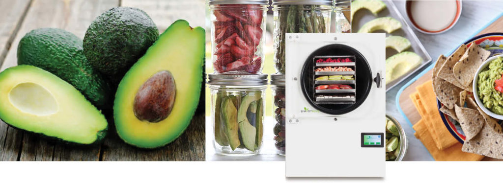 white freeze dryer, fresh avocados, jars of freeze dried food, guacamole