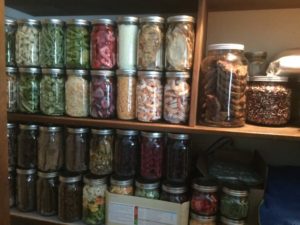 freeze dried food in jars on a shelf