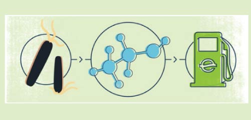 Icons of microbes, a molecule, and a gas pump