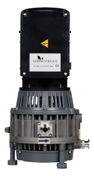 Oil free pump