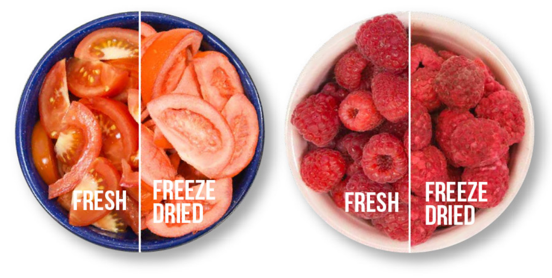 5 Candies to Freeze Dry, Harvest Right™, Home Freeze Dryers