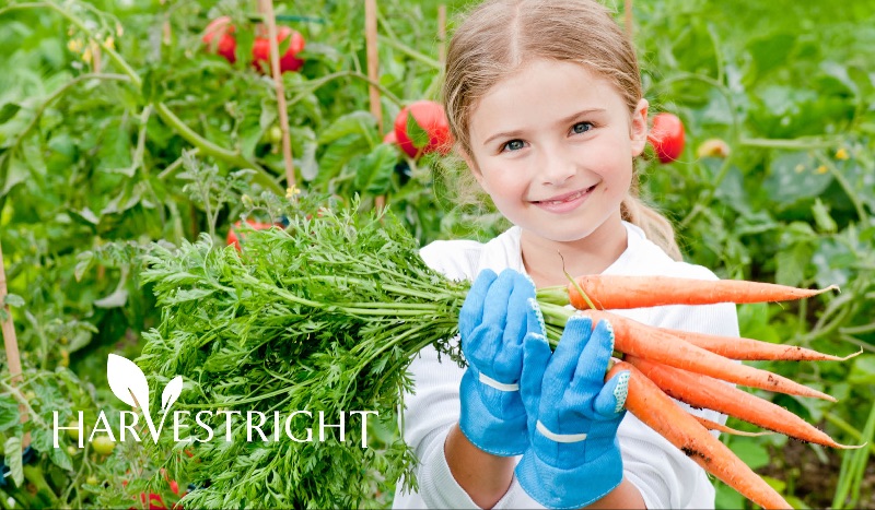 Girl with carrots in a garden. Harvest Right.