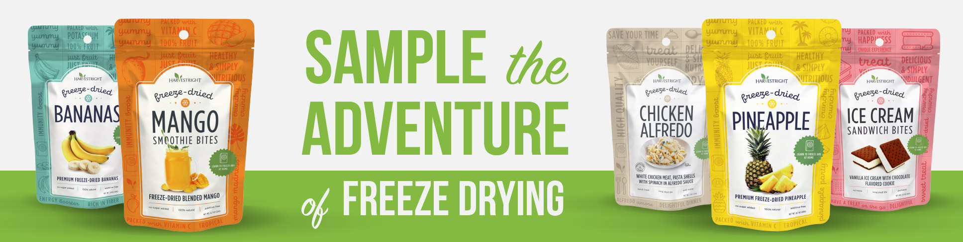 Sample the Adventure of Freeze Drying_divider2